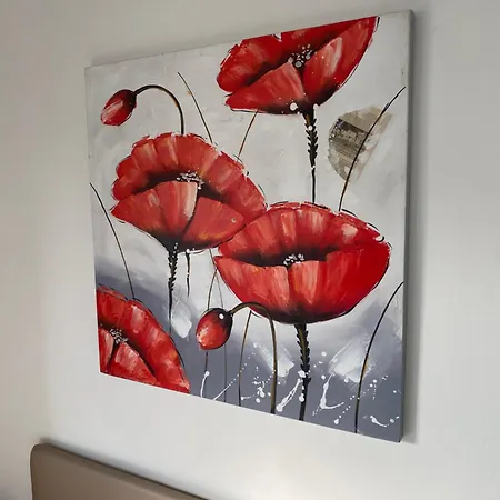 44 Apartament Novara